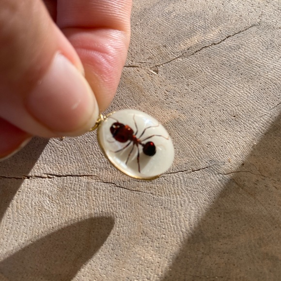 Real Ant Scorpion Beetle Spider Pendant Necklace Taxidermy insect necklace chain - Picture 11 of 11